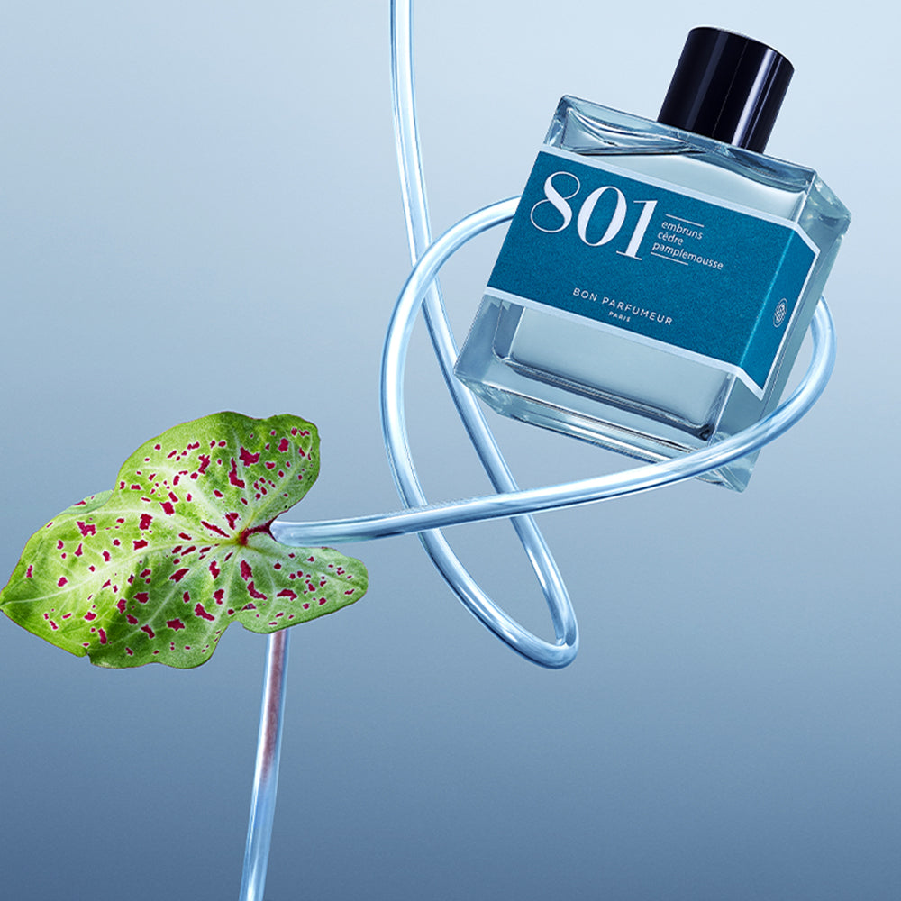 Bon Parfumeur 801 Meeresspray Zedernholz Grapefruit