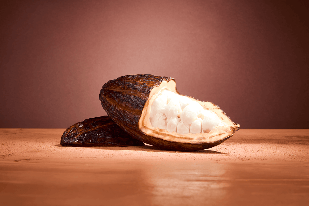 Kakaobohne – natürliche Zutat im Bon Parfumeur 502 Eau de Parfum, die dem Duft seine warme, gourmandige Note verleiht.