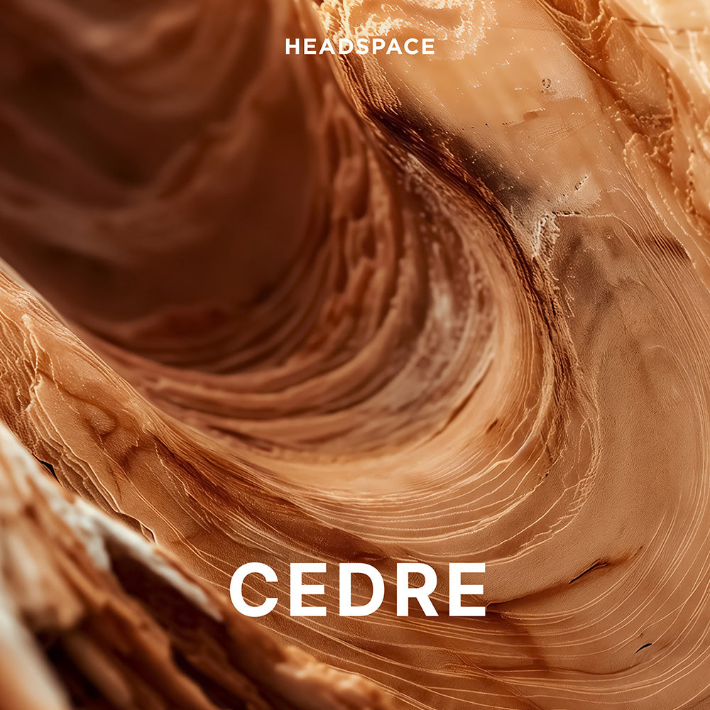 Cedre Headspace