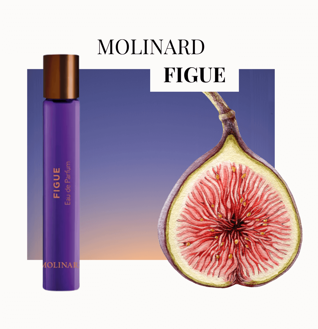 Molinard Figue Roll-On Perfume