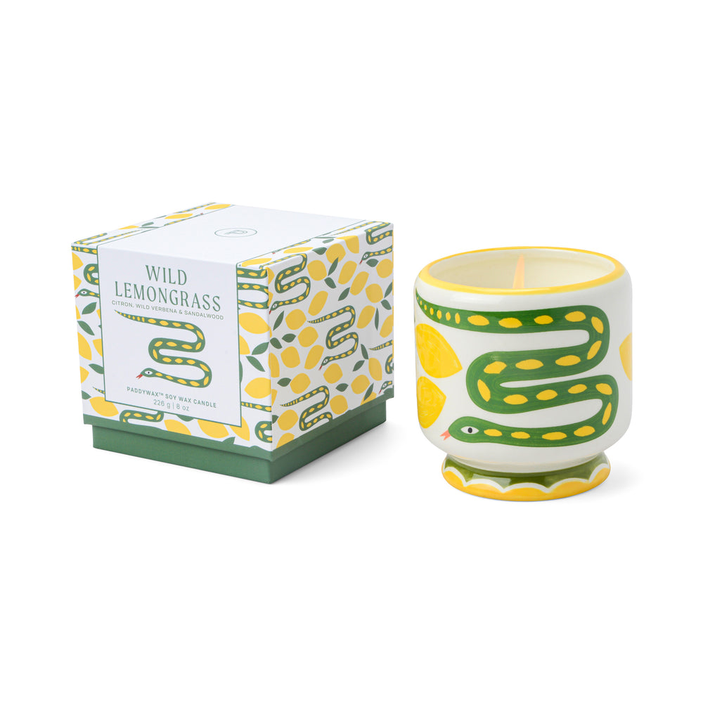 Paddywax Candle Wild Lemongrass. Handgegossene Duftkerze im Keramikgefäß und schöner Verpackung. Mit frischem, aromatisch-grünem Zitronengrasduft für eine spritzige, belebende Atmosphäre. Perfekte Geschenkidee.