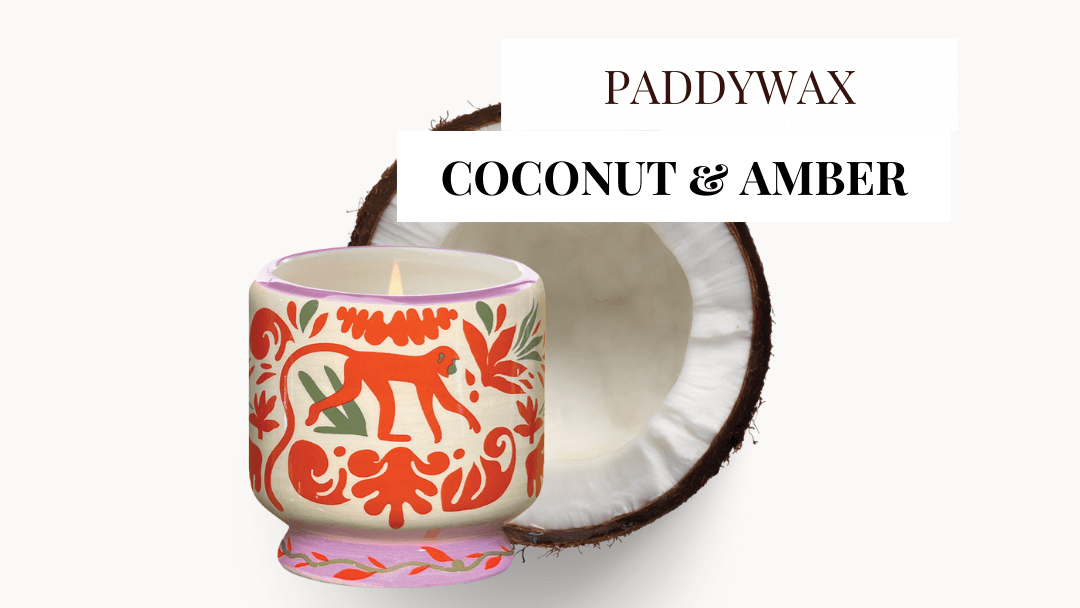 Paddywax Duftkerze Coconut & Amber