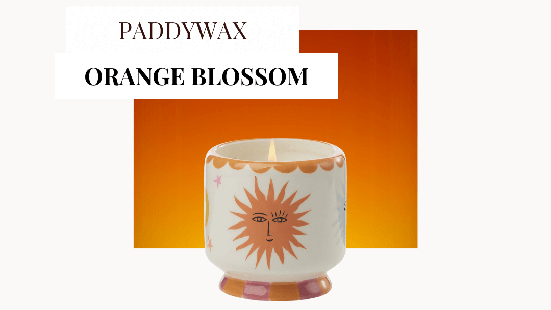 Paddywax Duftkerze Orange Blossom  